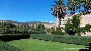 stello di Nelson-15-09-2014 07-48-06